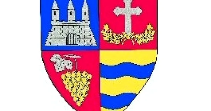 Stema judeţului Arad se compune dintr-un scut triunghiular cu marginile rotunjite, scartelat.