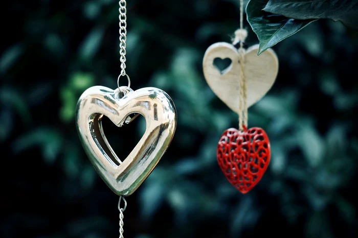 heart 3816944 1280 jpg