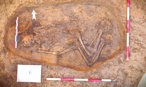 Mormânt vechi de aproximativ 4500 de ani, atribuit culturii Yamnaya, descoperit în Neamț (© Facebook / Vasile Diaconu - archaeologist)