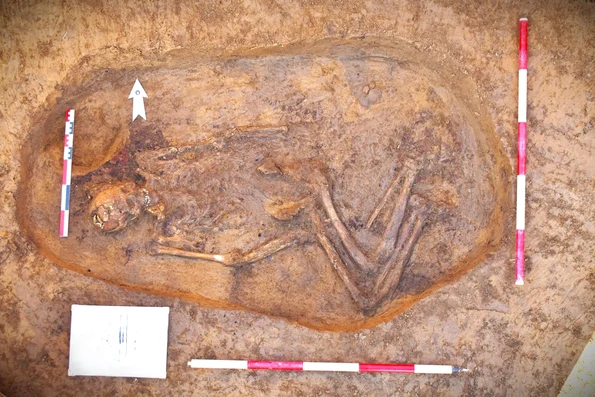 Mormânt vechi de aproximativ 4500 de ani, atribuit culturii Yamnaya, descoperit în Neamț (© Facebook / Vasile Diaconu - archaeologist)