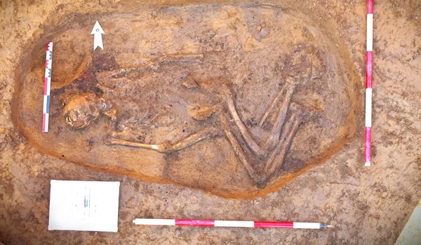 Mormânt vechi de aproximativ 4500 de ani, atribuit culturii Yamnaya, descoperit în Neamț (© Facebook / Vasile Diaconu - archaeologist)