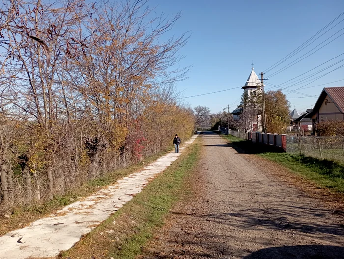 Pistele de bicicletă de la Lupăria FOTO Cosmin Zamfirache