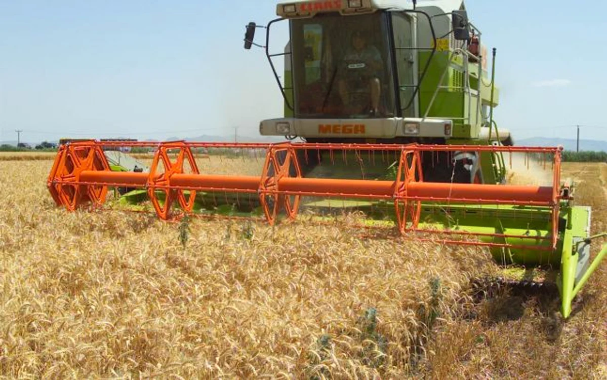 Terenul cumpărat de Ioana Băsescu în luna septembrie este compus din două loturi, de 240 de hectare, respectiv 51 de hectare, şi au fost lucrate în acest an de firmele Amygo MT şi Royalagro