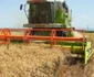 Agricultura este baza economiei Republicii Moldova