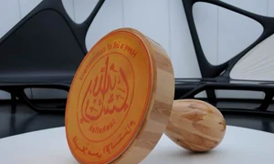 Trezirea arabă în islamul politic jpeg