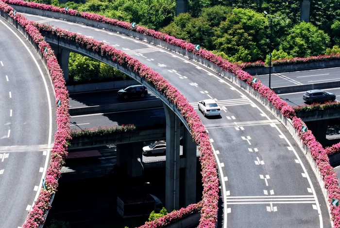 2,5 milioane de trandafiri au fost folosiți pentru acest proiect (Foto: Profimedia)