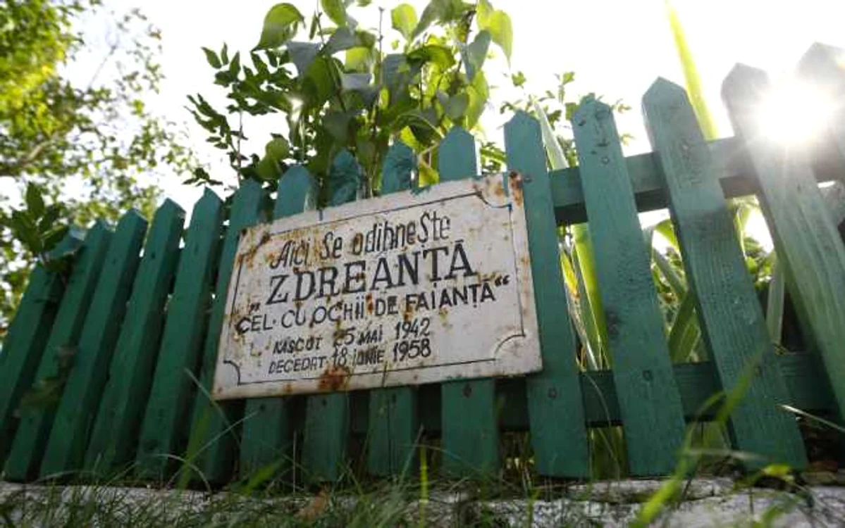 Locul în care ar fi îngropat Zdreanţă FOTO David Muntean