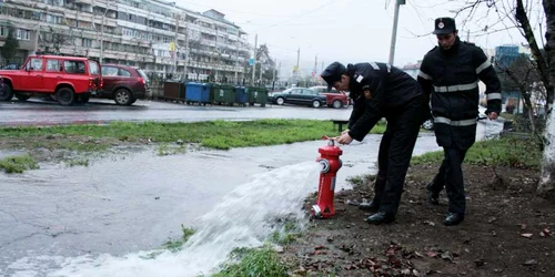 Pompierii s-au chinuit să rezolve „problema“