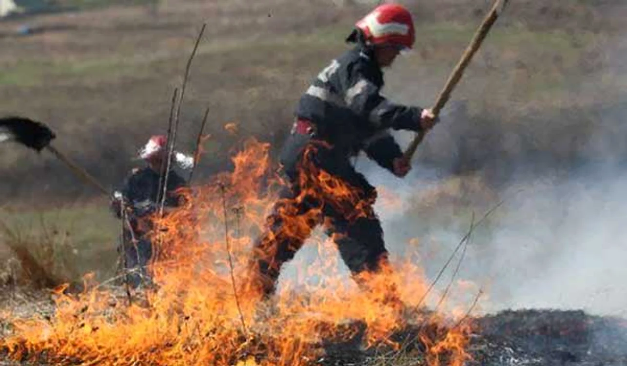 Incendiu de vegetație