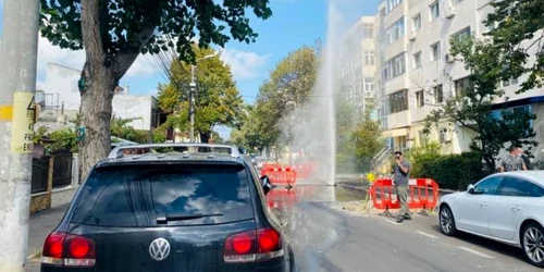 Conducta sparta Constanta