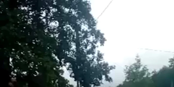 WhatsApp Video 2024 06 14 at 11 17 43 mp4 thumbnail png