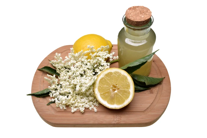 
    Socată șampanizată  