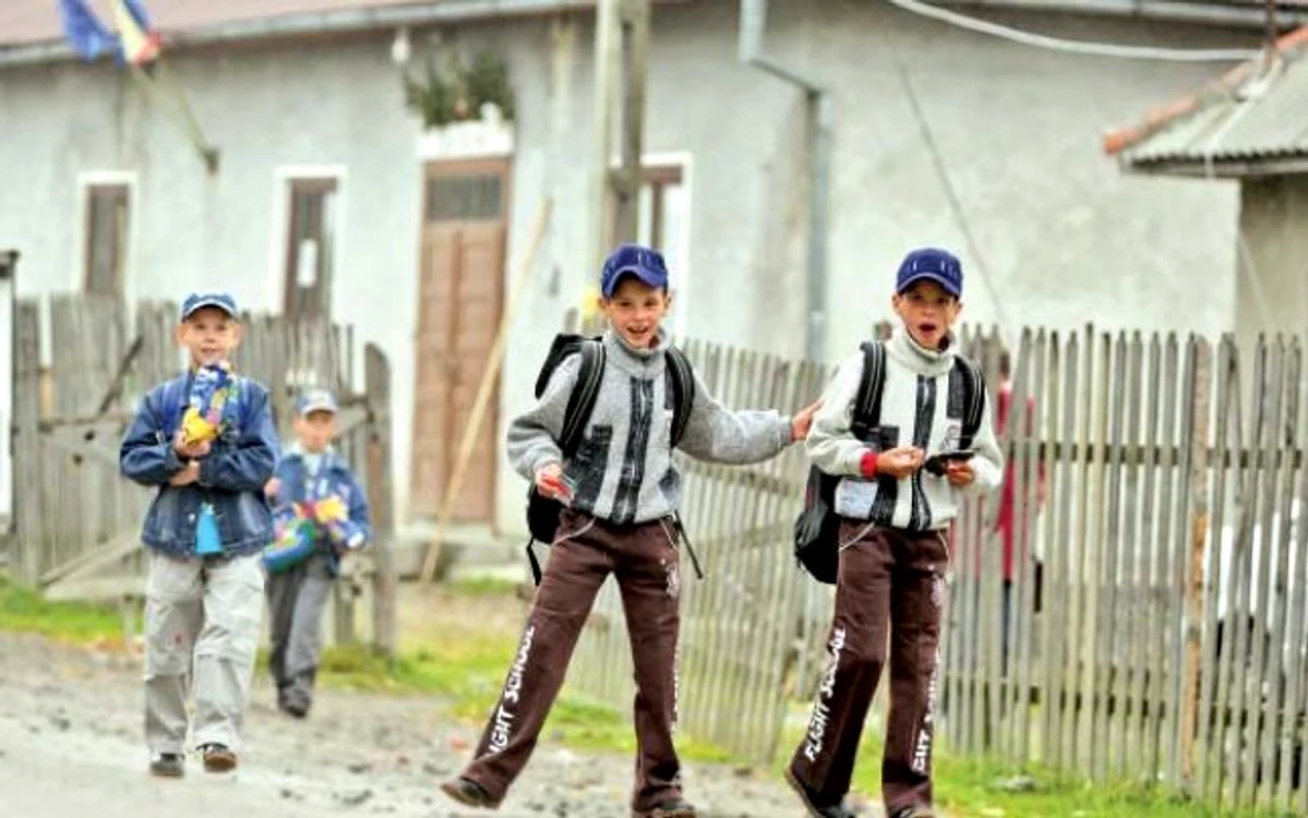 Studiul mai arată o slabă utilizare a mijloacelor audio şi video la ore    FOTO: Adevărul