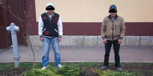 Foto:Poliţia Locală