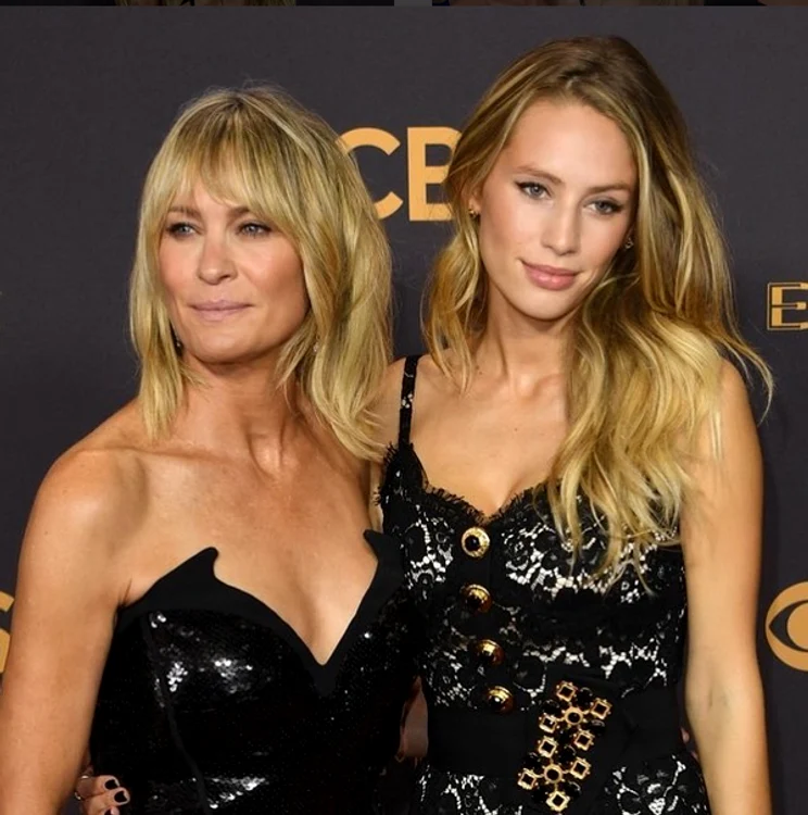 dylan penn png