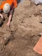 olanda arheologie1 jpeg