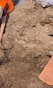 olanda arheologie1 jpeg
