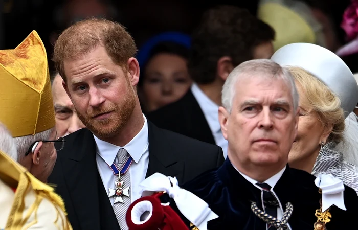 Prinţul Harry, acuzat că l-a lovit pe prințul Andrew la o reuniune de familie FOTO: EPA EFE