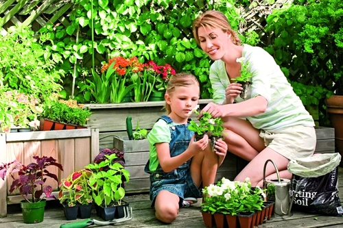 1 46352 original jpg jpeg