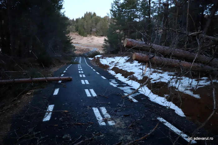 Pista de biciclete. Foto: Daniel Guță. ADEVĂRUL