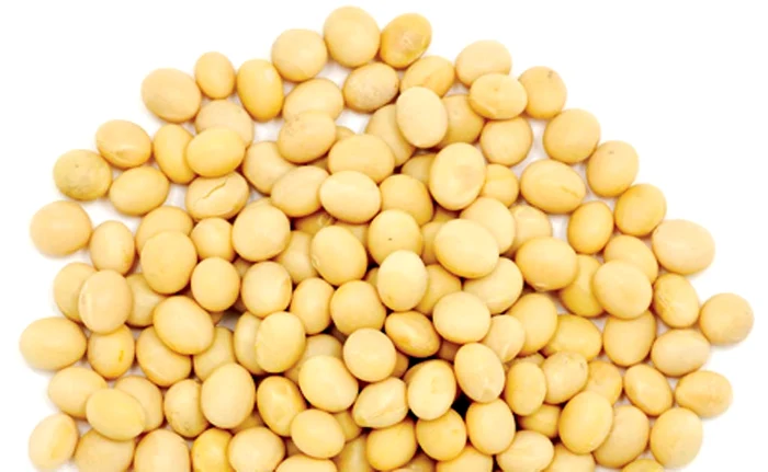 Crema de năut se poate consuma asezonată cu seminţe