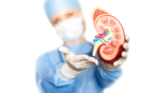 shutterstock 360933155 jpg