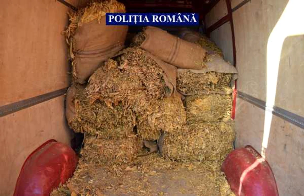 Peste 4 tone de tutun au fost confiscate de poliţişti FOTO IPJ Călăraşi