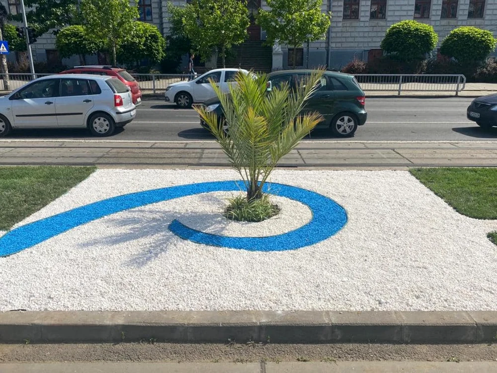 Localnicii nu cred însă că plantele vor rezista foarte mult,  Foto: Lia Olguta Vasilescu
