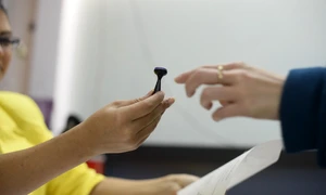 Votare - stampila - vot FOTO Mediafax 