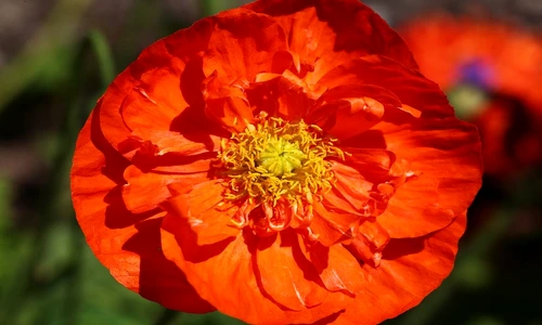 1 76613 original jpg jpeg