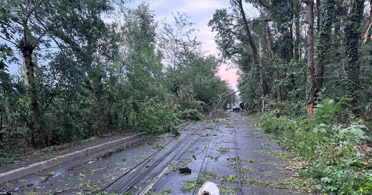 Furtuna din Capitală izolează complet Greenfield: oameni blocați acasă sau în mașini pe DN1