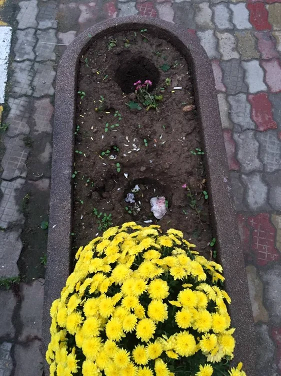 spatiu verde vandalizat
