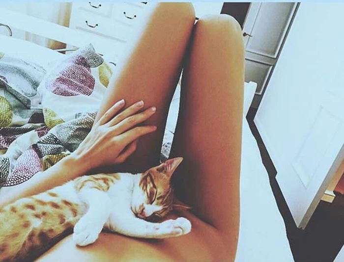 Alexandra Stan a renunţat la haine, ea acoperindu-şi zona intimă cu pisica 
