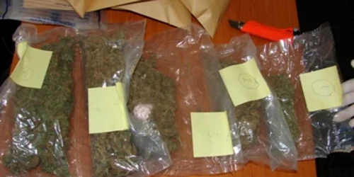 Bacău: Cannabis "bun" şi Ecstasy fals în pachetul din Olanda