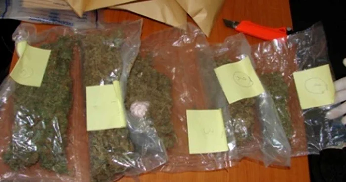 Bacău: Cannabis "bun" şi Ecstasy fals în pachetul din Olanda