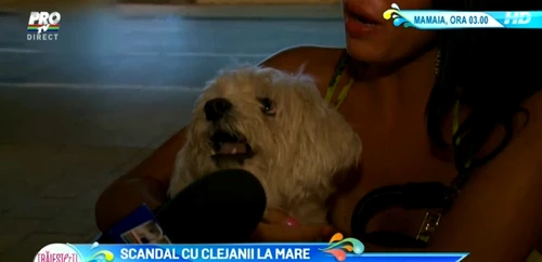 Ioniţă e nervos că animalele i-au stricat vacanţa