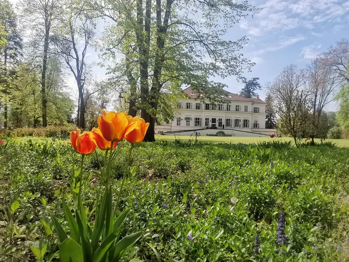 Domeniul Regal de la Săvârșin FOTO Ștefan Both