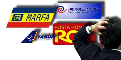 Eficienţă după reţeta Boc