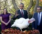 President Obama Pardons National Thanksgiving Turkey   Washington jpeg