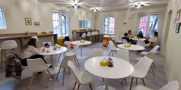 Cantina Colegiului Pedagogic din Timișoara FOTO Ștefan Both