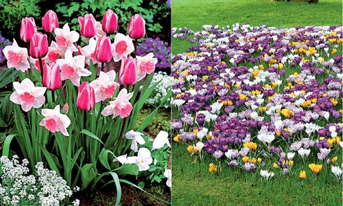 1 56568 original jpg jpeg