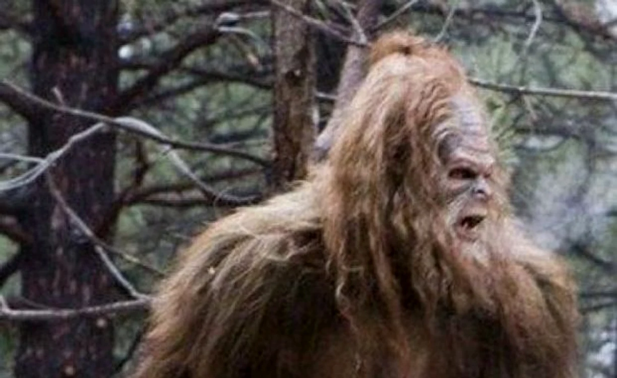 
    S-a găsit ADN-ul monstrului Bigfoot  
