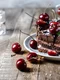 Tort de ciocolata cu cirese  Sursa foto shutterstock 1459193222 jpg