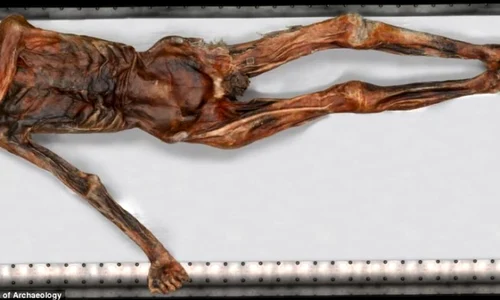 Otzi, mumia care a schimbat istoria, împlineşte 20 de ani de la descoperire jpeg