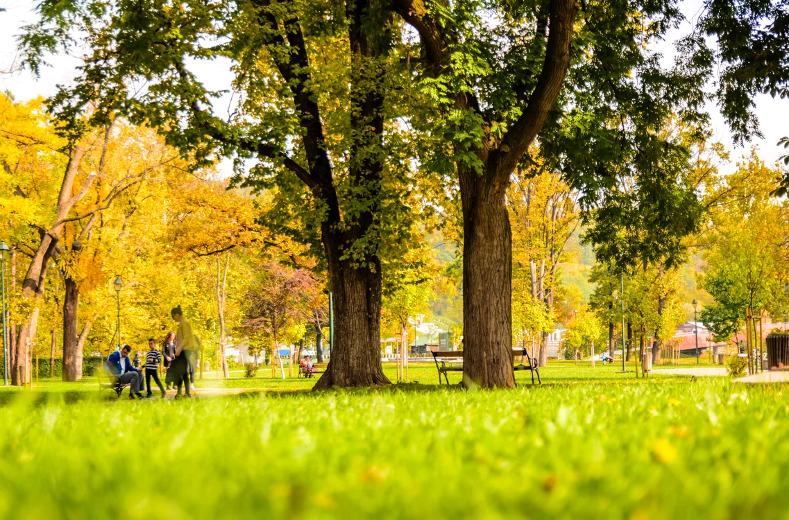 Vremea va fi mai caldă decât normalul perioadei FOTO: Shutterstock