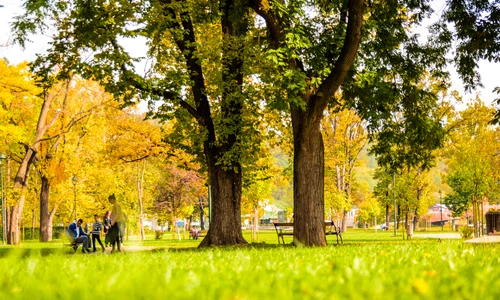 parc toamna soare copaci vremea unsplash jpeg