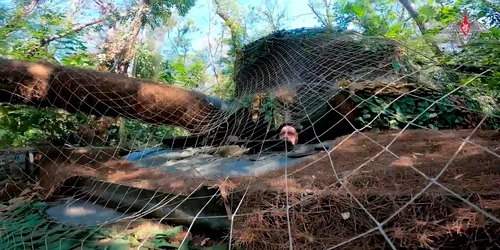 profimedia 0897754708 jpg