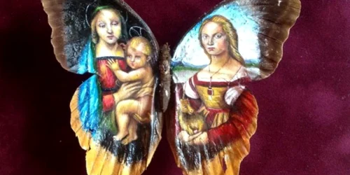 pictura pe aripi de fluture