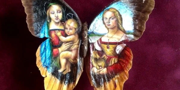 pictura pe aripi de fluture