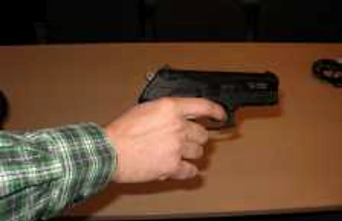 Pistolul se află acum în custodia poliţiştilor Foto:arhivă